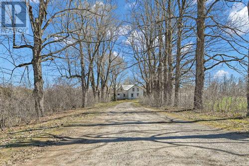 Mature trees line the driveway