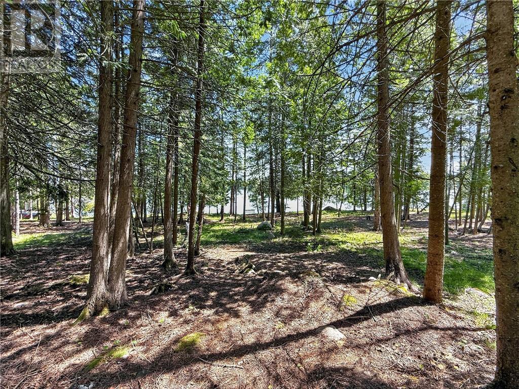












1278 Ice Lake Drive

,
Gore Bay, Manitoulin Island,







Ontario
P0P1H0

