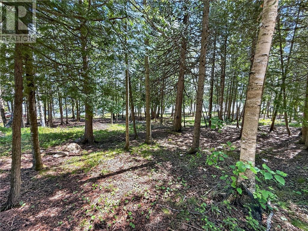 












1278 Ice Lake Drive

,
Gore Bay, Manitoulin Island,







Ontario
P0P1H0

