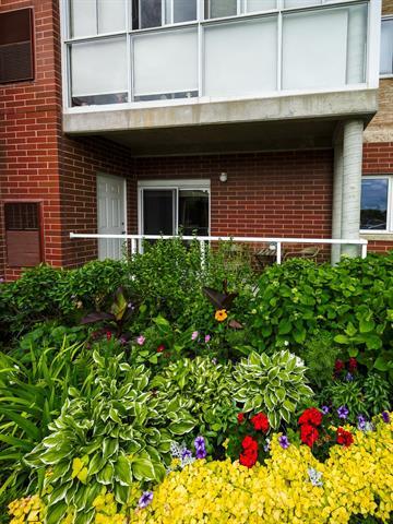 









495


Lindenwood

DR, 109,
Winnipeg,




MB
R3P 2R7

