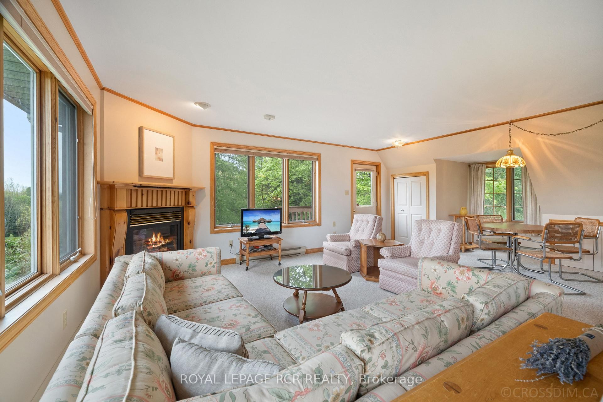 









836081


4th

Line East,
Mulmur,




ON
L9V 0J1

