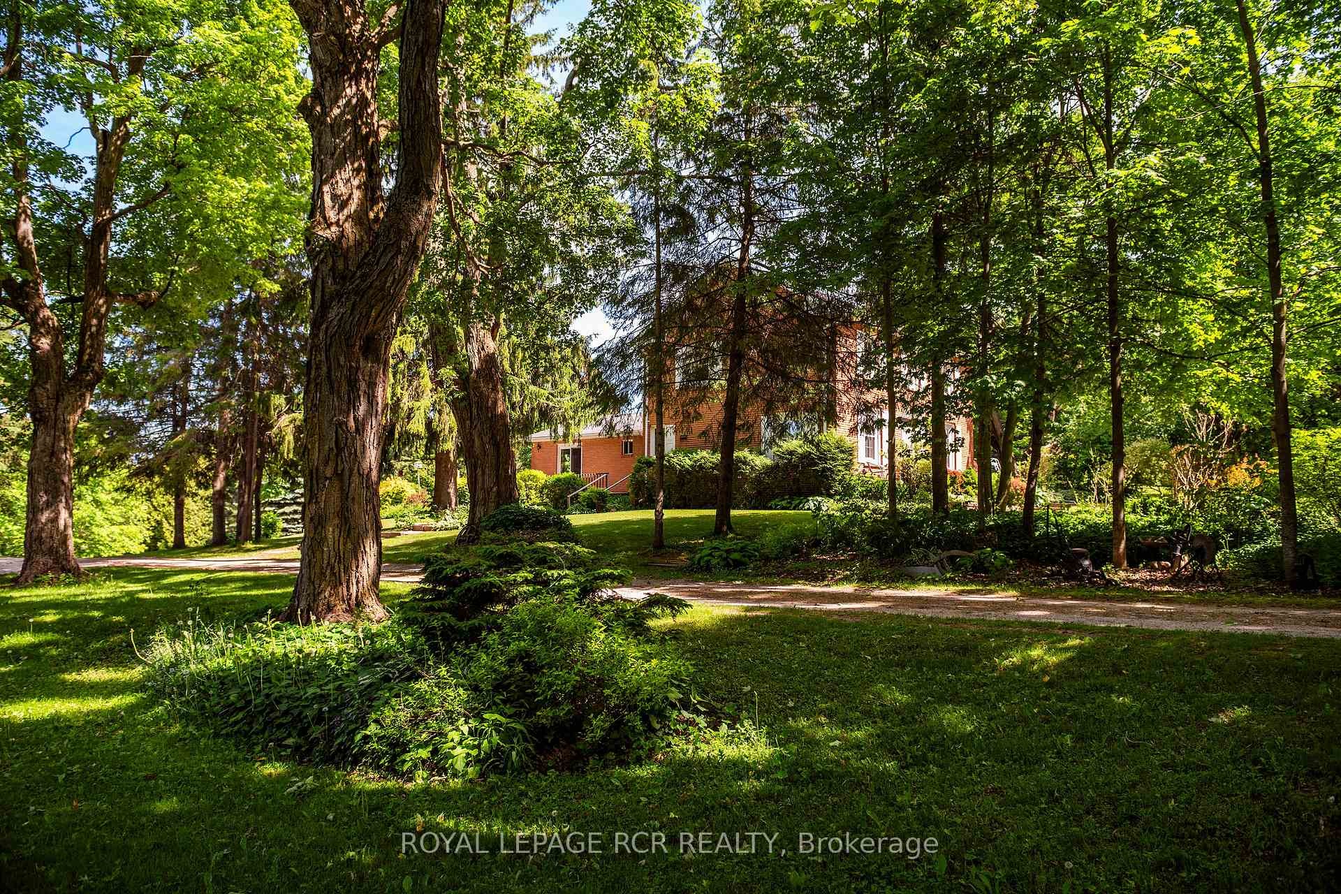 









836081


4th

Line East,
Mulmur,




ON
L9V 0J1

