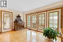Living Room Windows