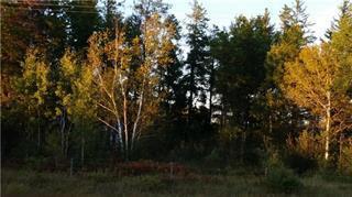 









0


#12

HWY,
Anola,







MB
R0E 0A0

