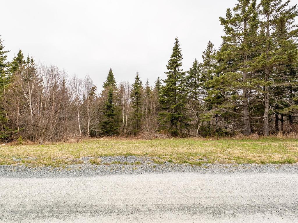 












145 Yellowleaf Lane

,
Portuguese Cove,




NS
B3V 0E7

