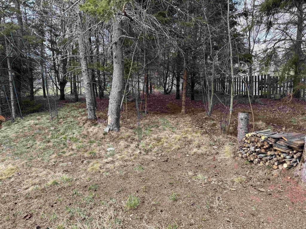 












11 Vernon Street

,
Valley,




NS
B6L 4N3

