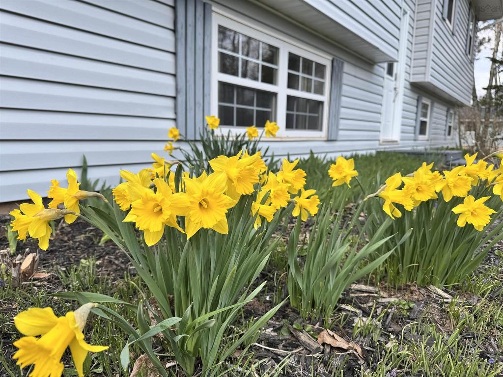 












11 Vernon Street

,
Valley,




NS
B6L 4N3

