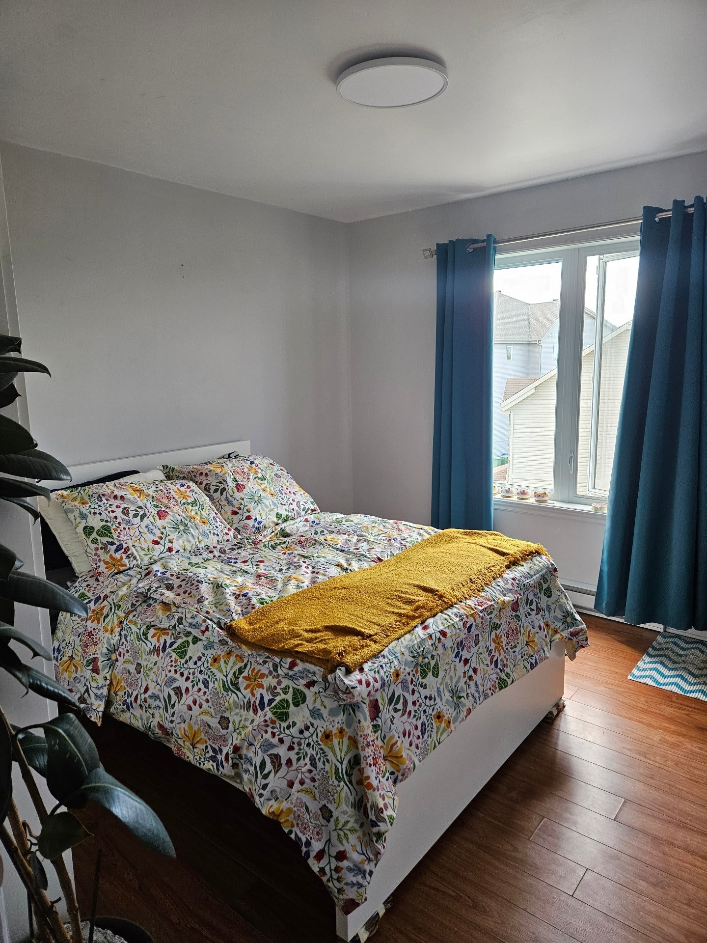 









34


Rue Catherine

,
Saint-Rémi,




QC
J0L2L0


