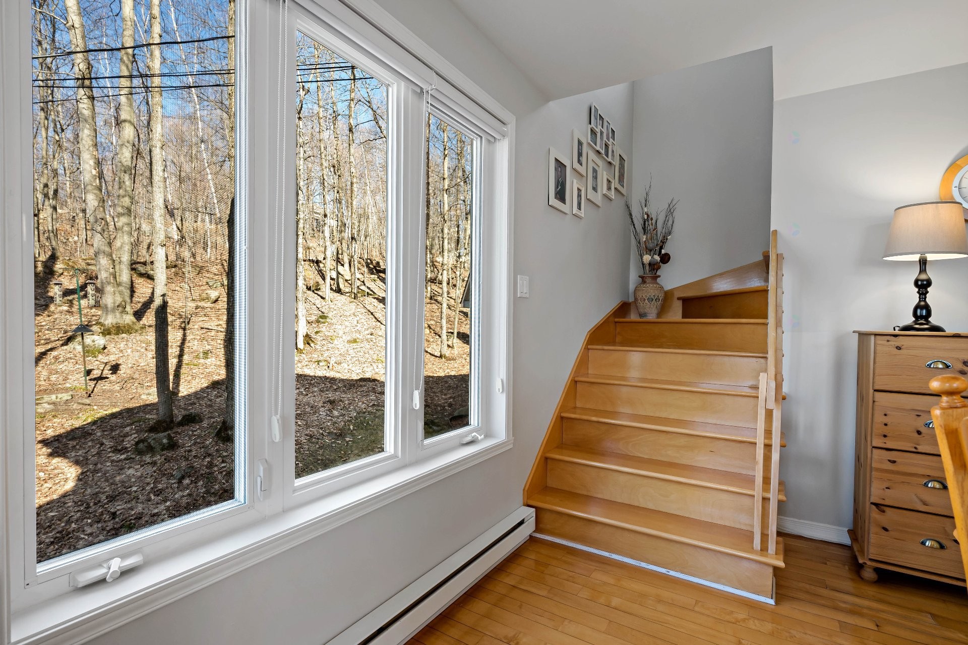 









100Z

 - 102Z


Ch. des Cimes

,
Saint-Sauveur,




QC
J0R1R3

