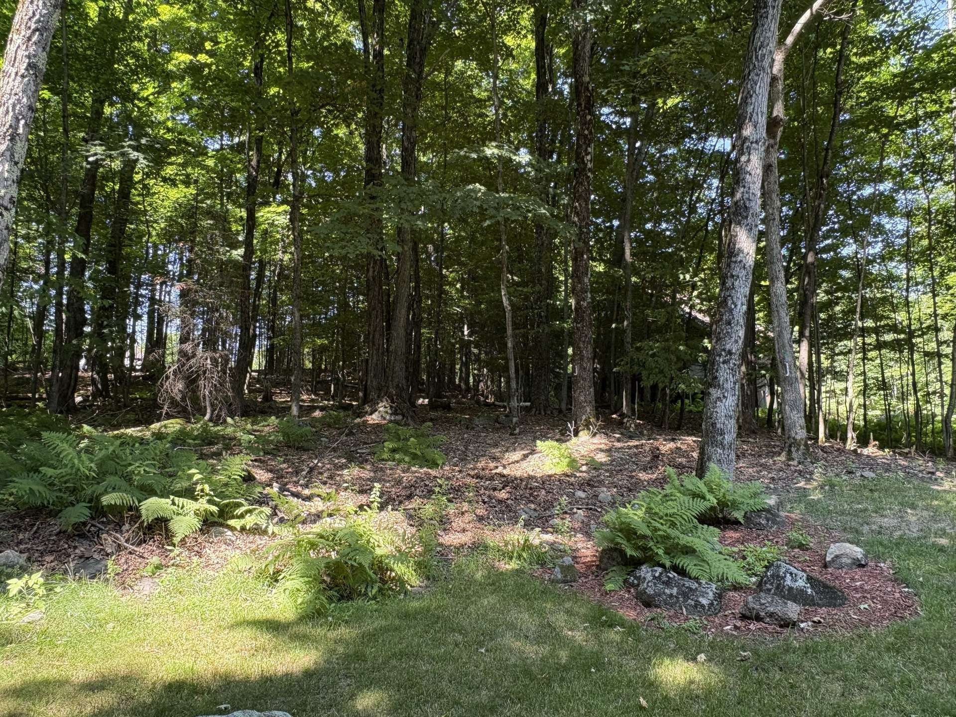 









100Z

 - 102Z


Ch. des Cimes

,
Saint-Sauveur,




QC
J0R1R3

