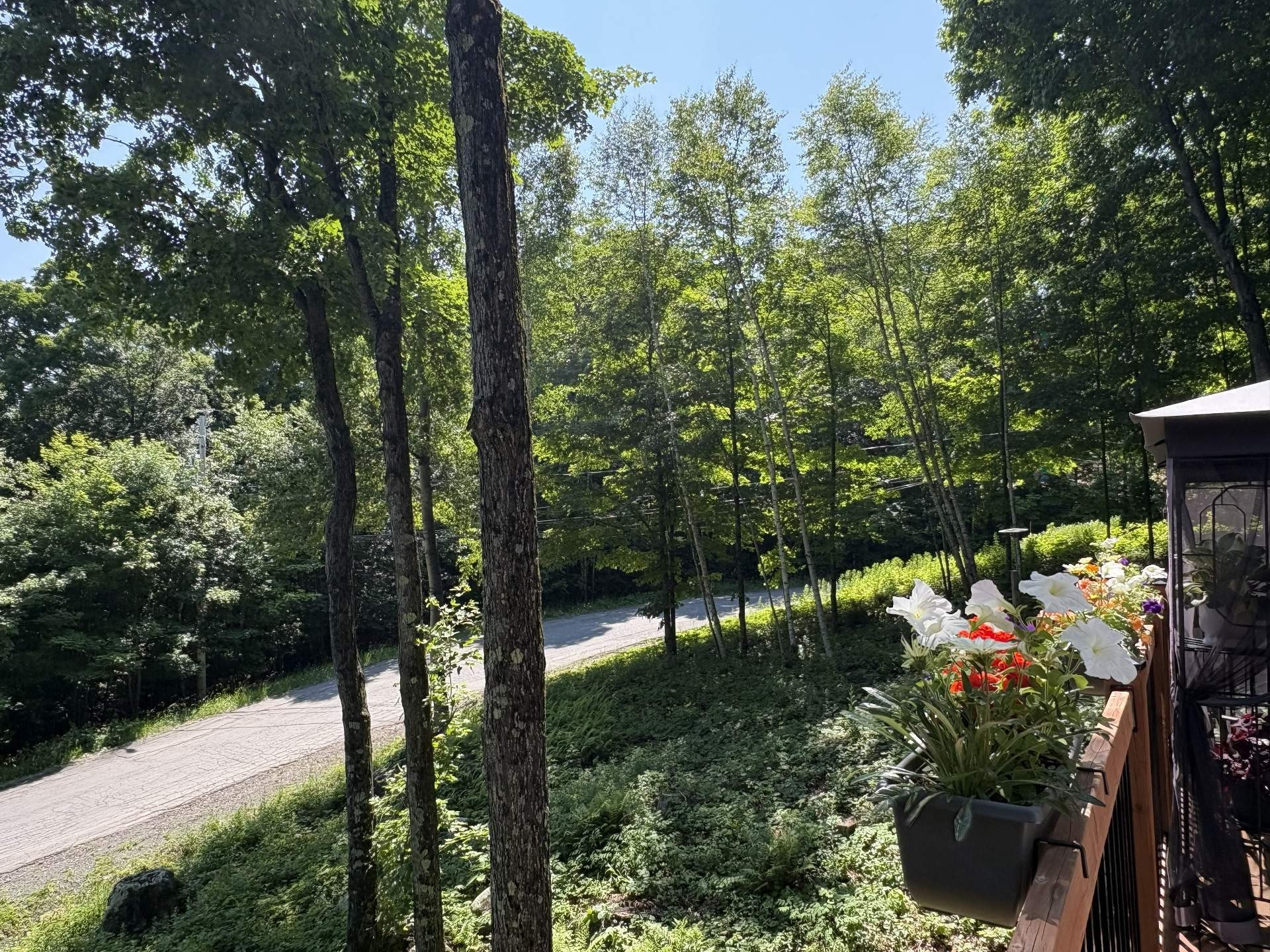 









100Z

 - 102Z


Ch. des Cimes

,
Saint-Sauveur,




QC
J0R1R3

