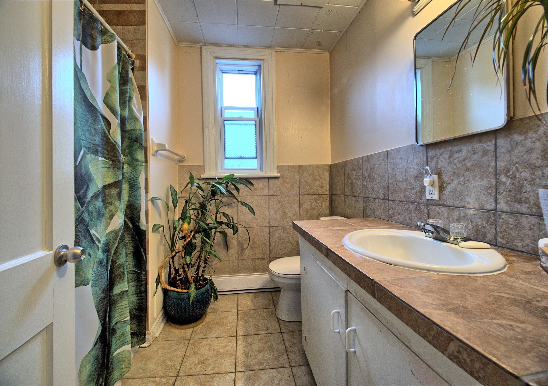 









38

 - 40


Rue Broad

,
Gatineau (Aylmer),




QC
J9H4H3

