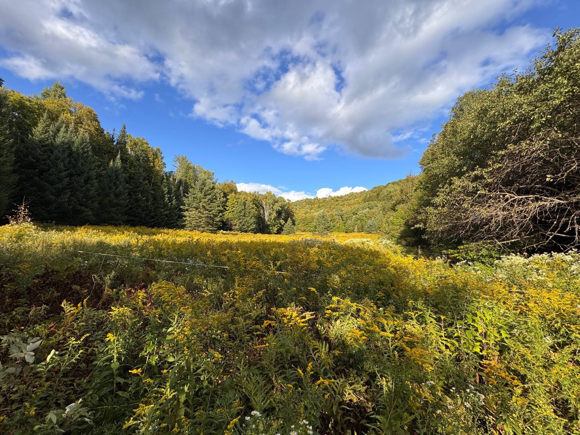 












Ch. du Lac-à-la-Loutre

,
Huberdeau,







QC
J0T1G0

