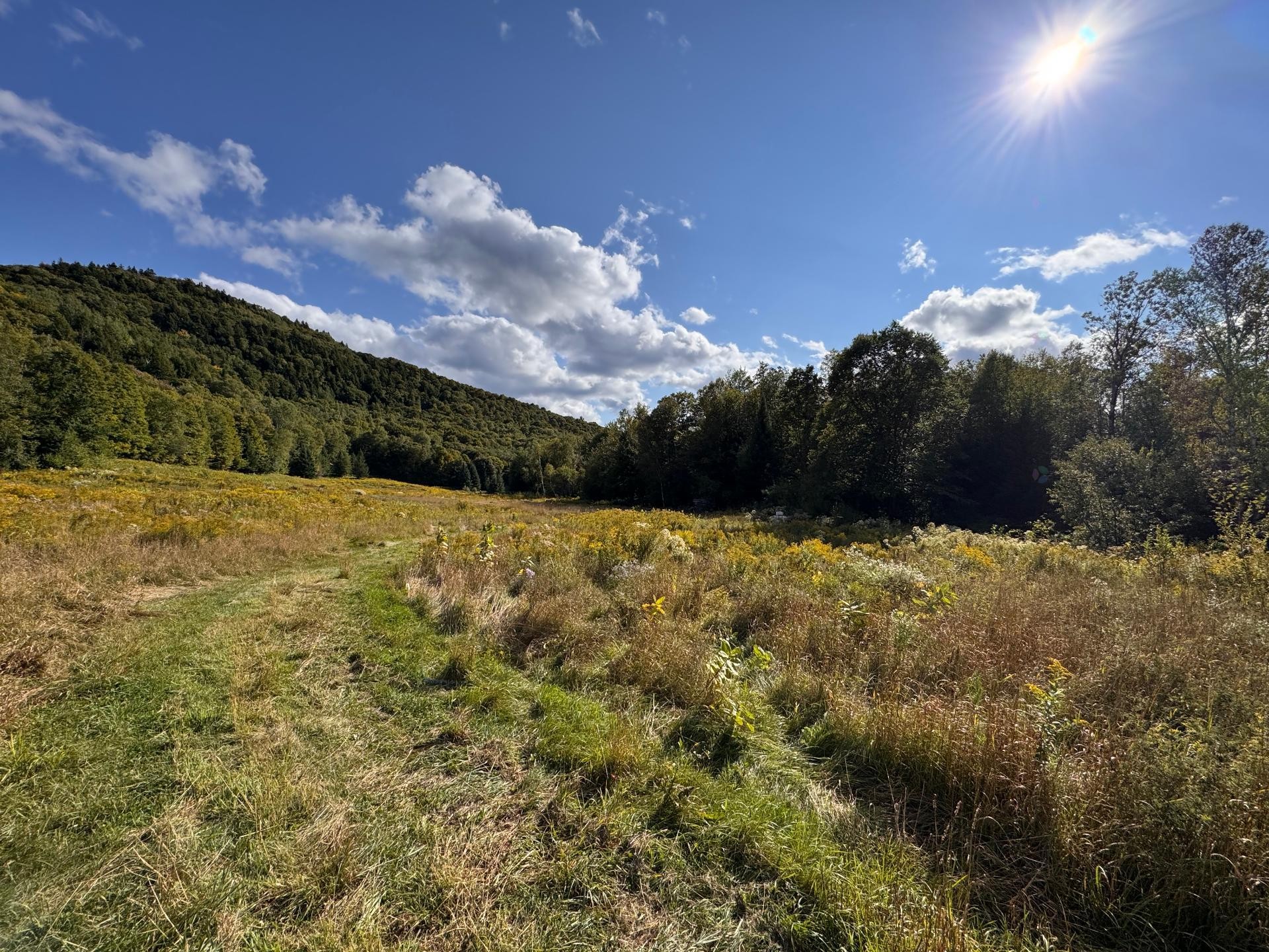 












Ch. du Lac-à-la-Loutre

,
Huberdeau,







QC
J0T1G0

