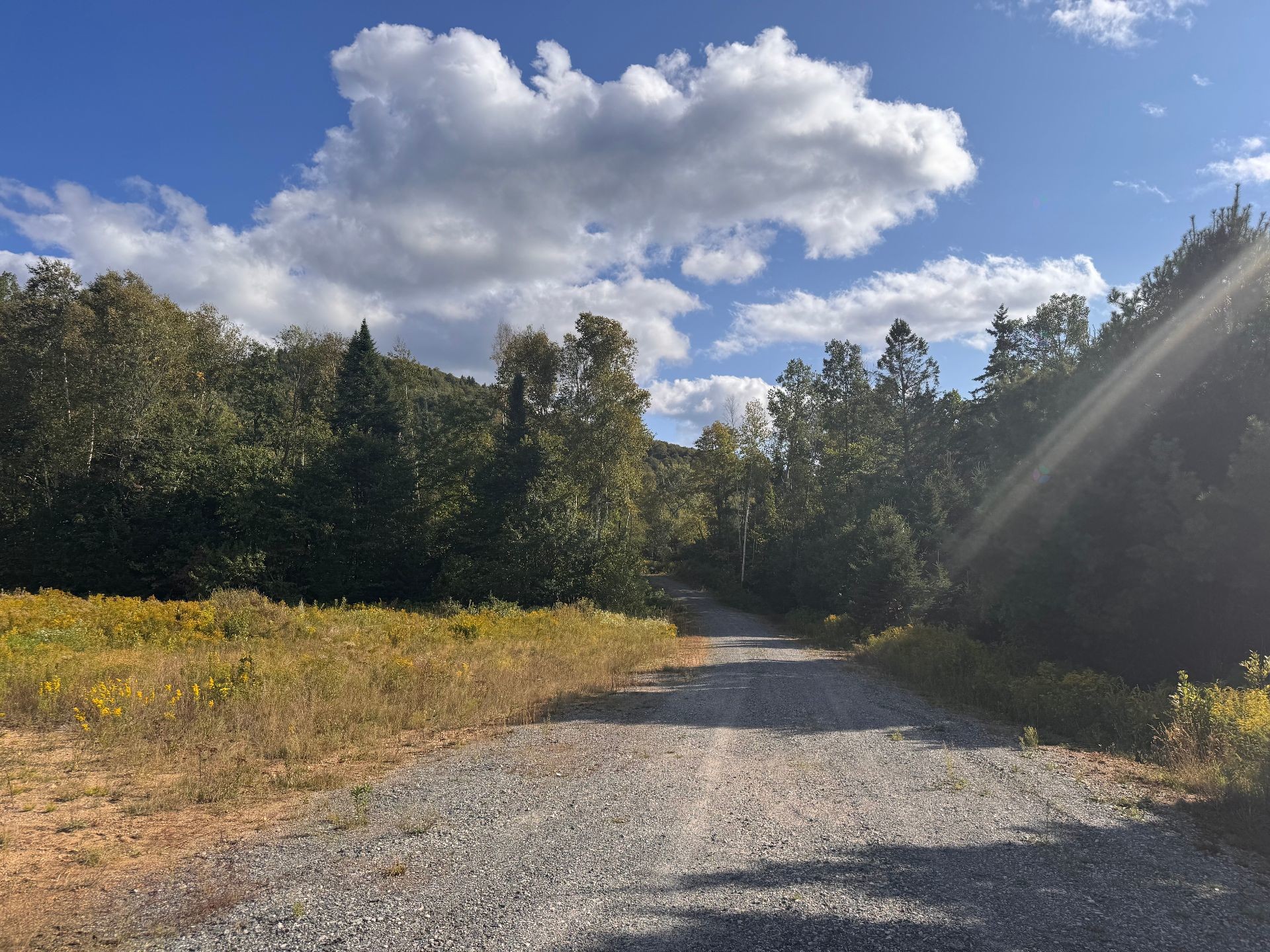 












Ch. du Lac-à-la-Loutre

,
Huberdeau,







QC
J0T1G0

