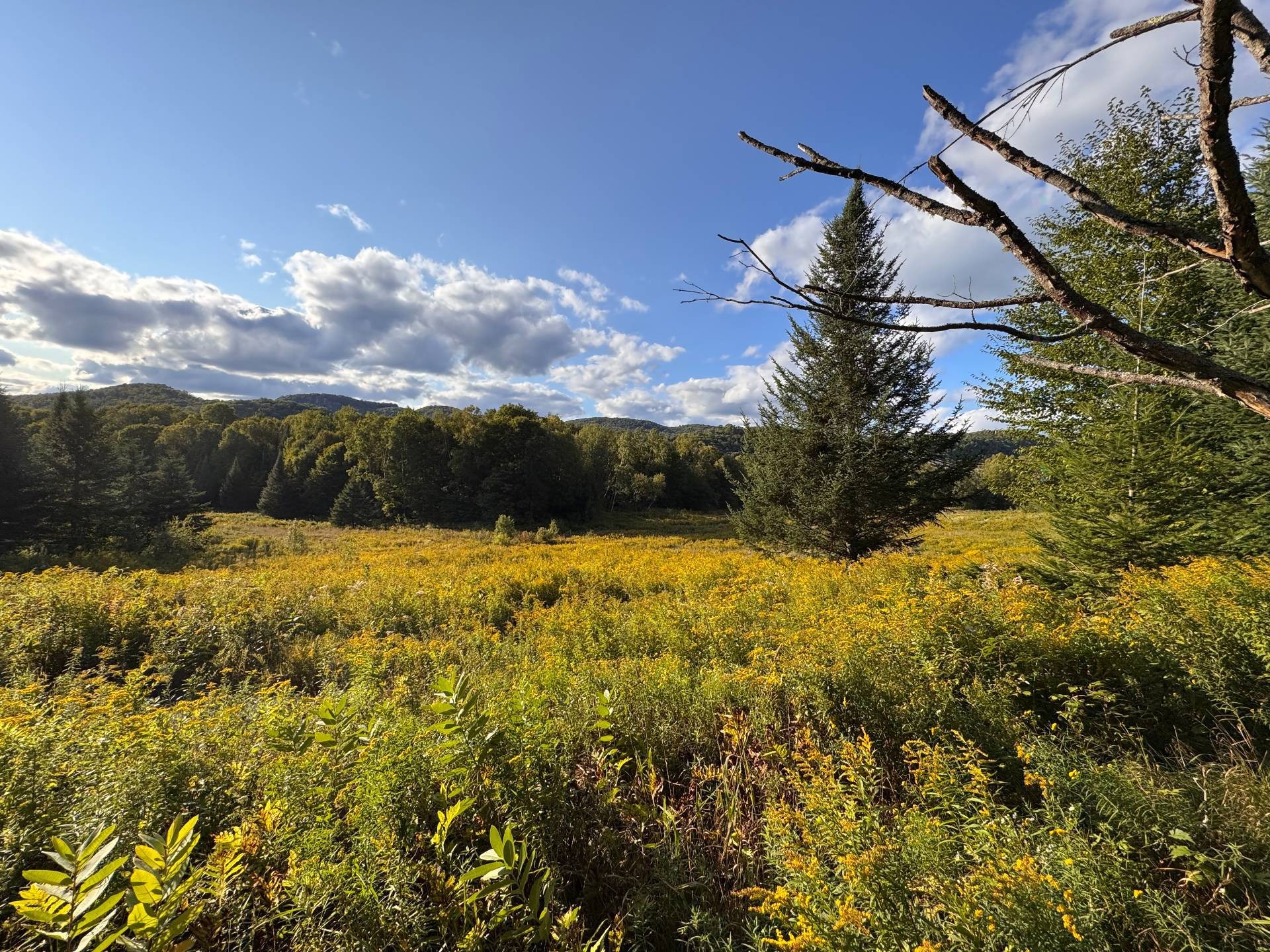 












Ch. du Lac-à-la-Loutre

,
Huberdeau,







QC
J0T1G0

