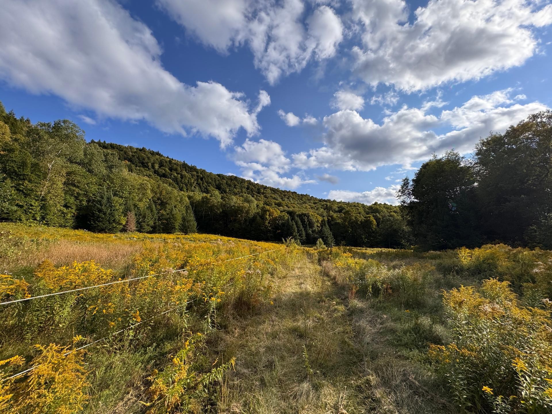 












Ch. du Lac-à-la-Loutre

,
Huberdeau,







QC
J0T1G0


