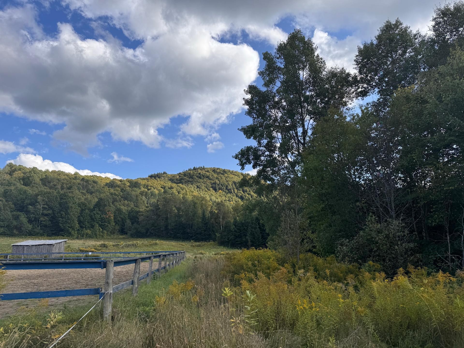












Ch. du Lac-à-la-Loutre

,
Huberdeau,







QC
J0T1G0

