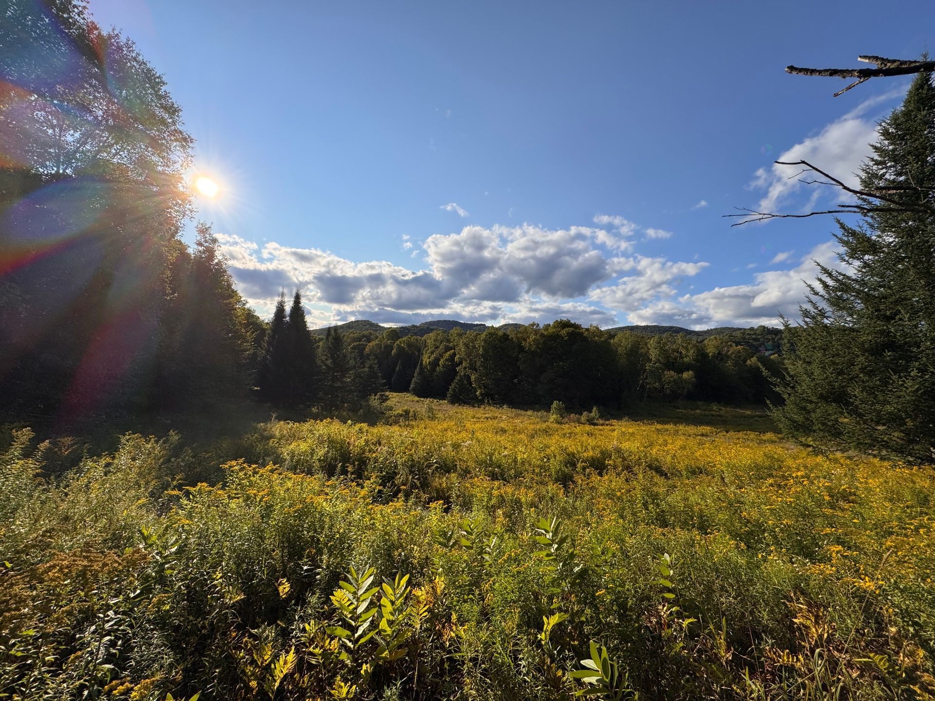 












Ch. du Lac-à-la-Loutre

,
Huberdeau,







QC
J0T1G0


