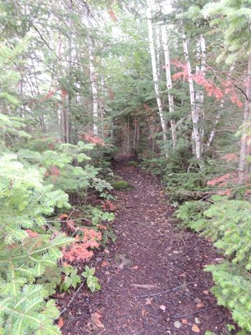 









62


Pelican Inlet

RD,
Manigotagan,







MB
R0E 1E0

