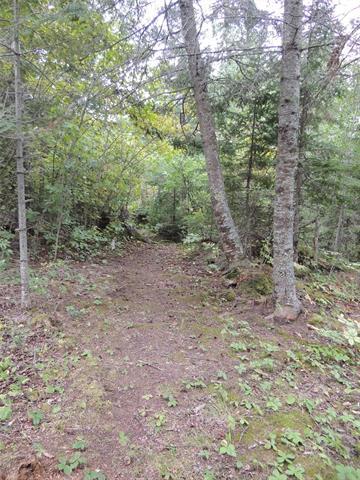 









62


Pelican Inlet

RD,
Manigotagan,







MB
R0E 1E0

