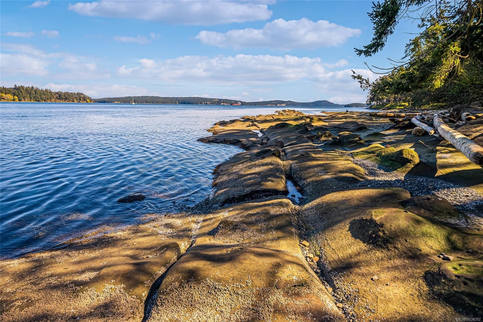 









970


Sea Fern

Lane,
Mudge Island,




BC
V0R 1X0

