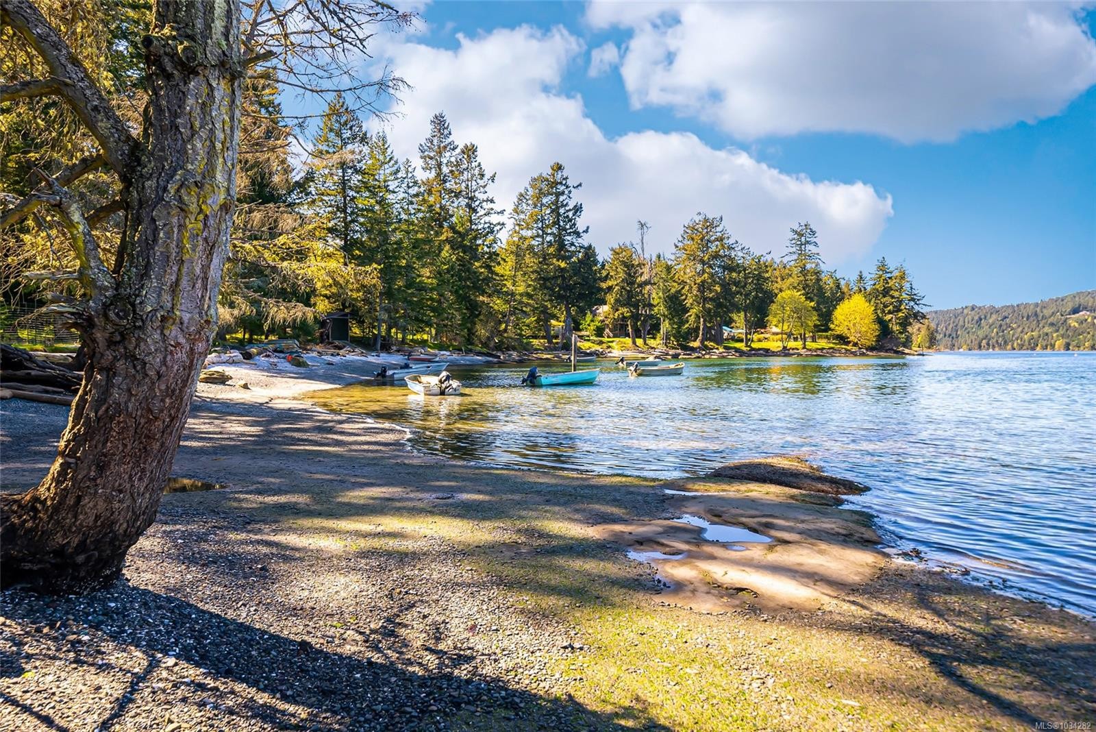 









970


Sea Fern

Lane,
Mudge Island,




BC
V0R 1X0

