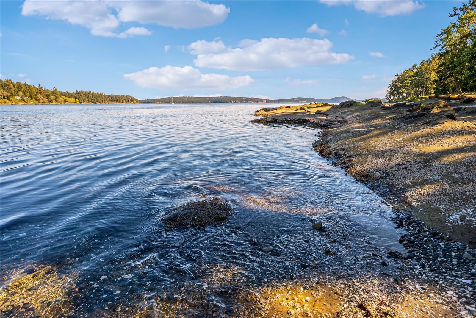 









970


Sea Fern

Lane,
Mudge Island,




BC
V0R 1X0

