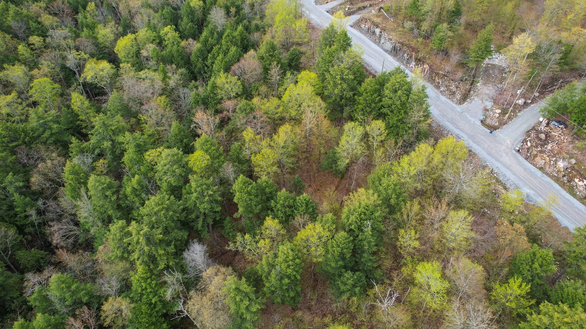 









37


Ch. de la Fresque

,
Val-des-Monts,







QC
J8N0C5

