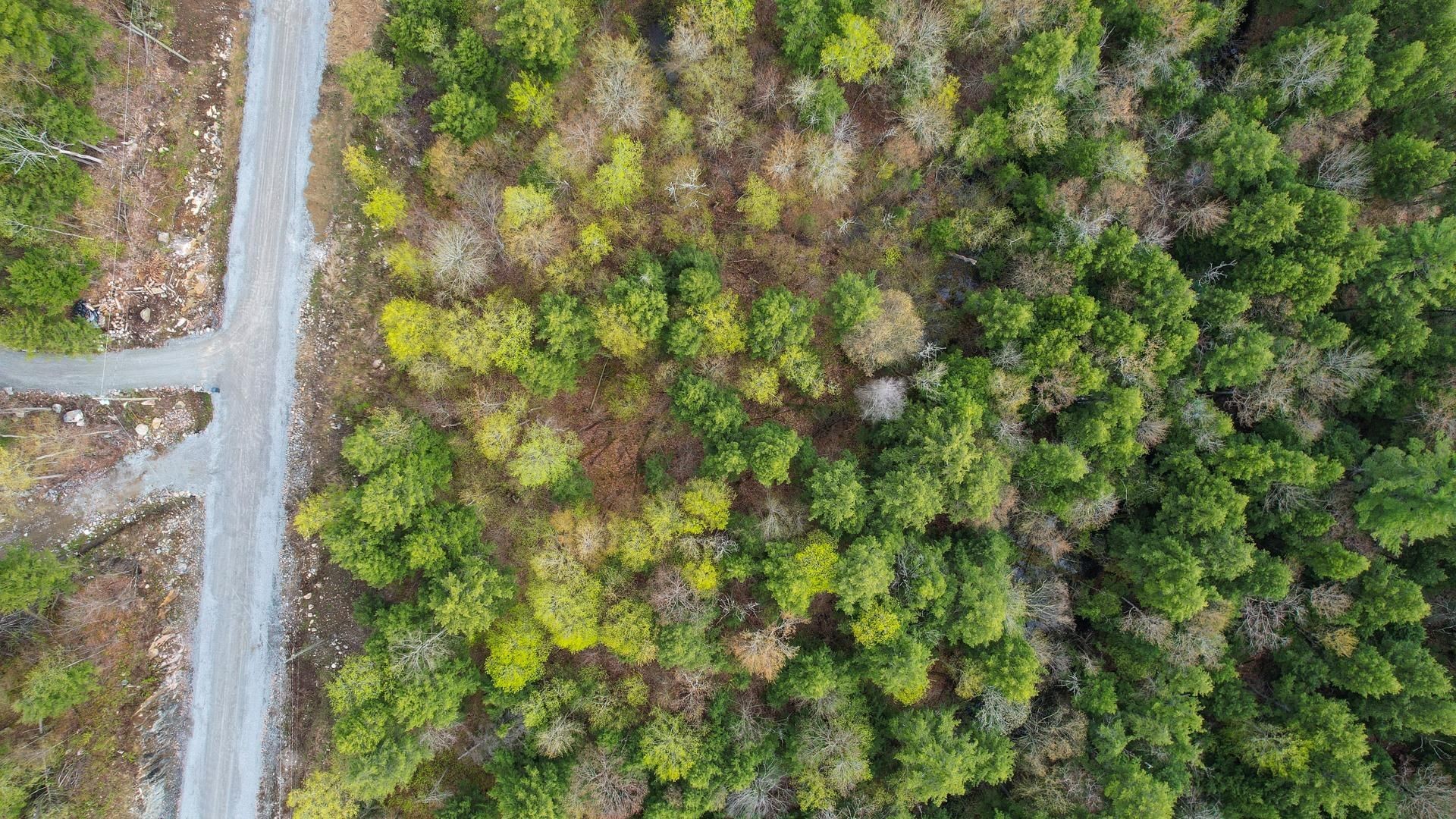 









37


Ch. de la Fresque

,
Val-des-Monts,







QC
J8N0C5

