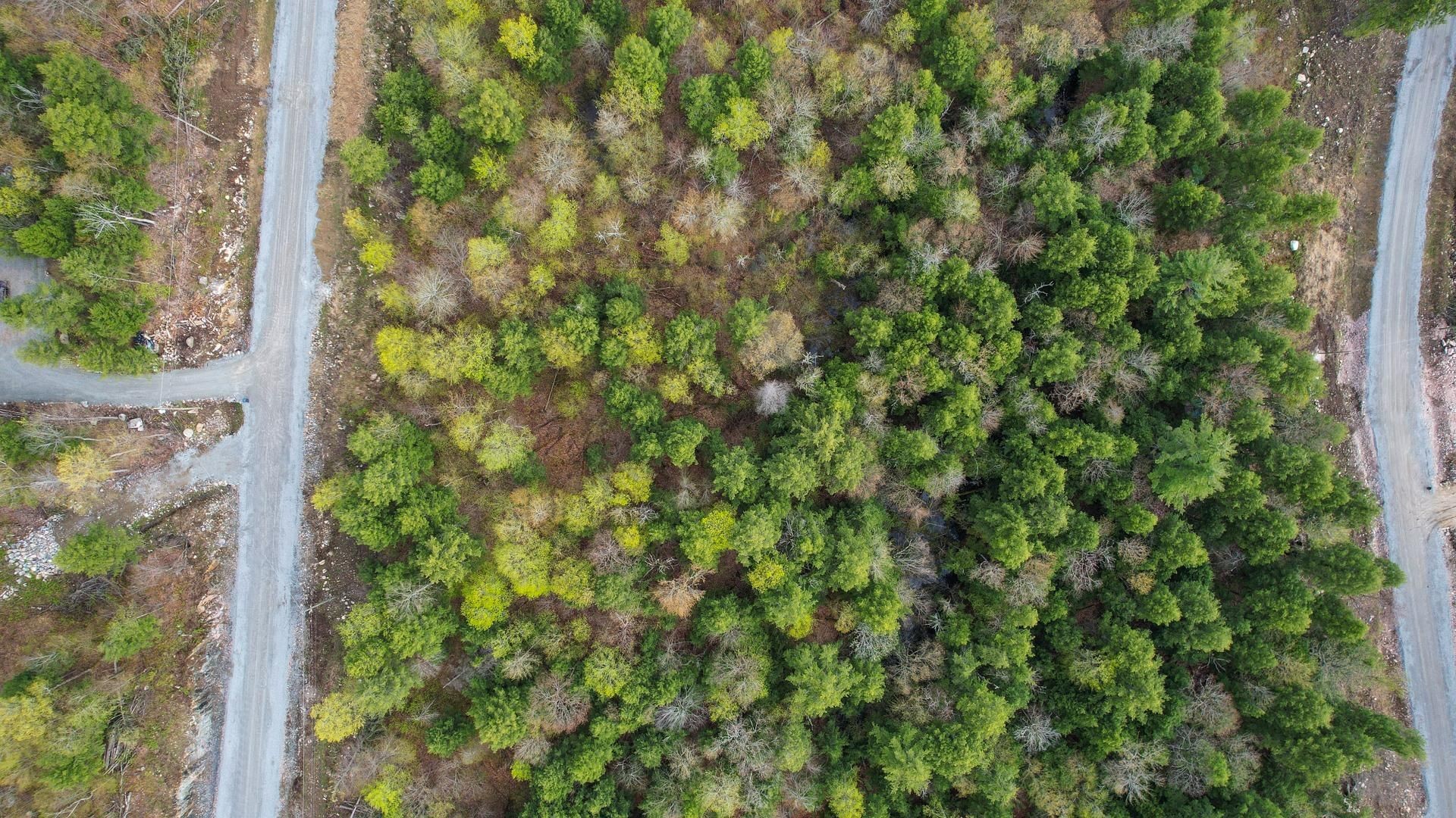 









37


Ch. de la Fresque

,
Val-des-Monts,







QC
J8N0C5


