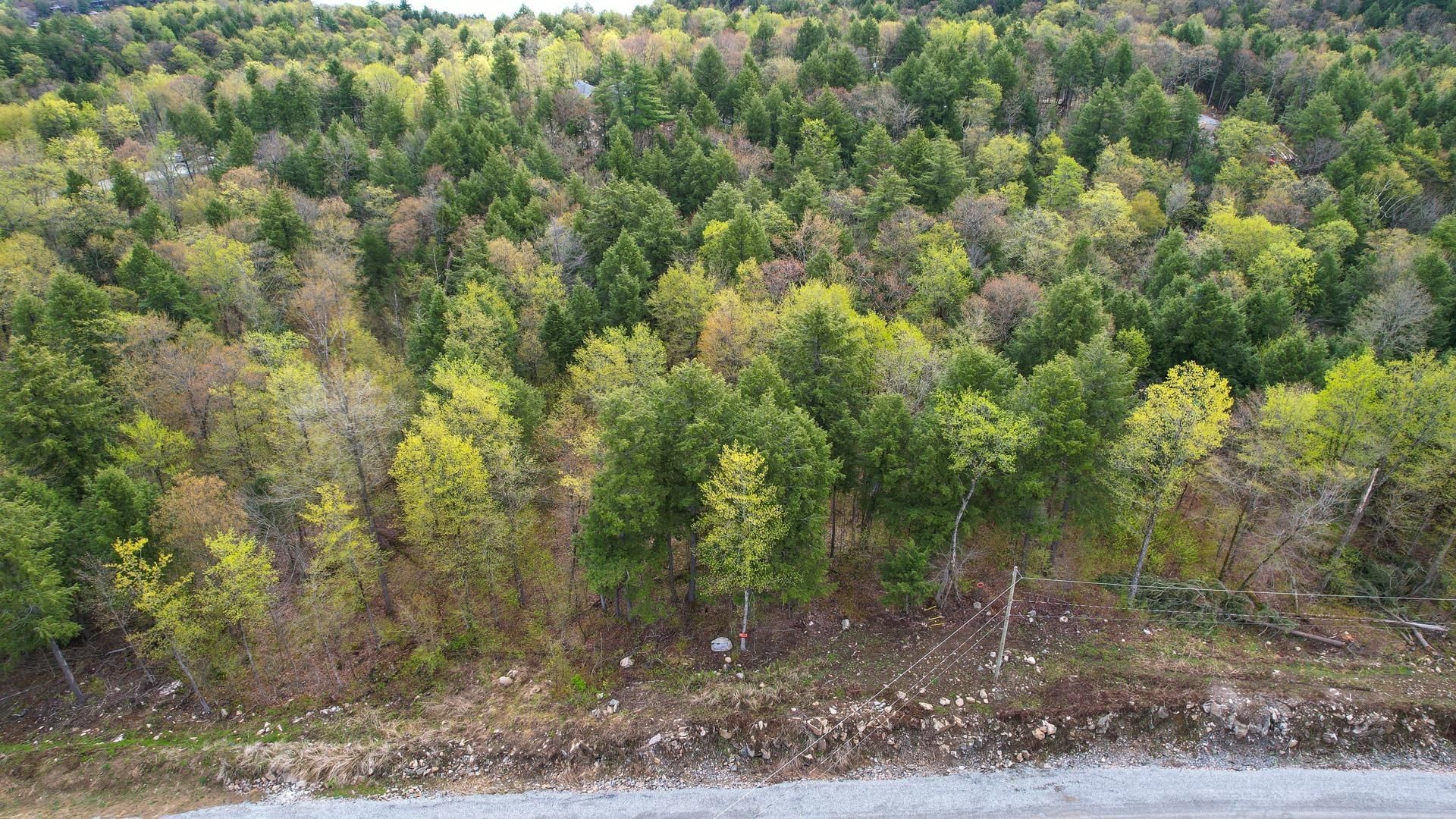 









37


Ch. de la Fresque

,
Val-des-Monts,







QC
J8N0C5

