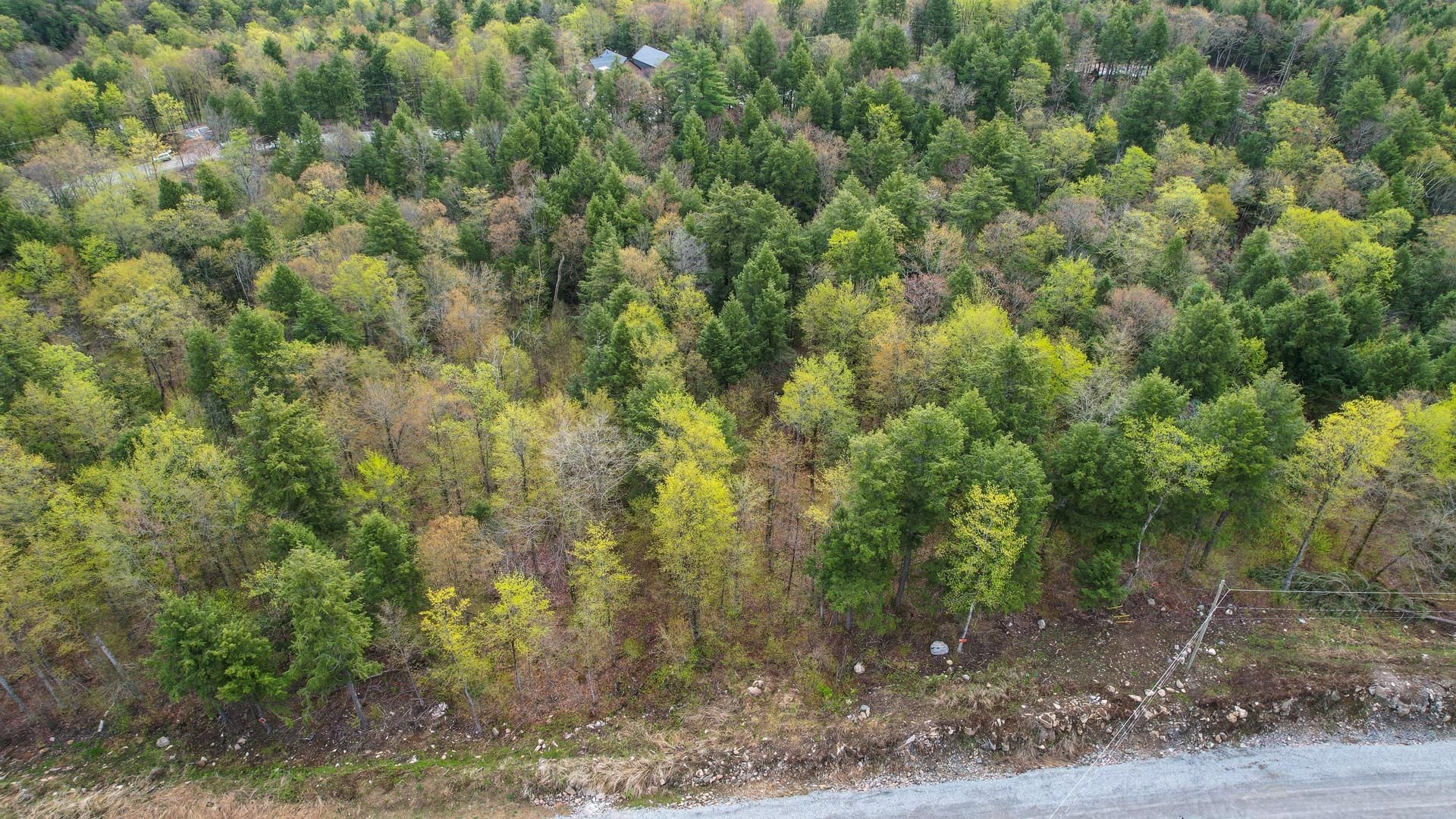 









37


Ch. de la Fresque

,
Val-des-Monts,







QC
J8N0C5

