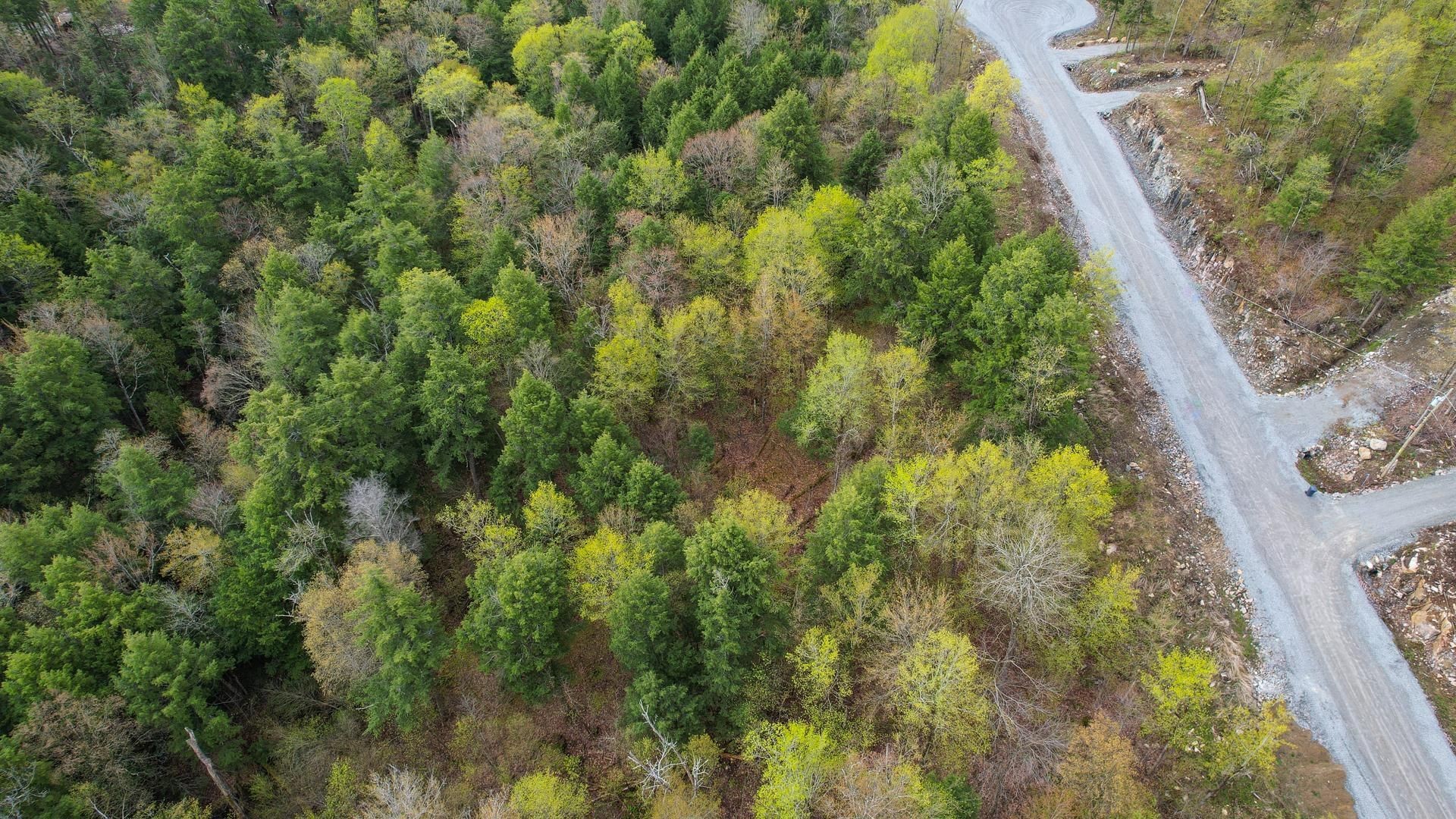 









37


Ch. de la Fresque

,
Val-des-Monts,







QC
J8N0C5

