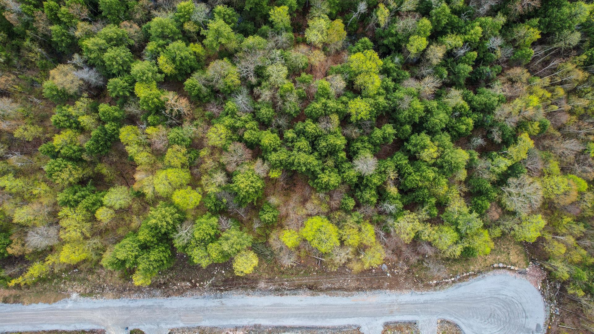 









45


Ch. de la Fresque

,
Val-des-Monts,







QC
J8N0C5

