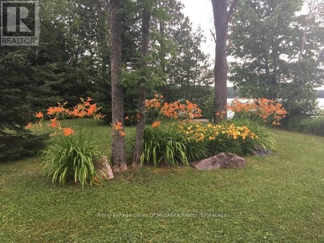 












3149 520 HIGHWAY

,
Magnetawan,




Ontario
P0A1P0

