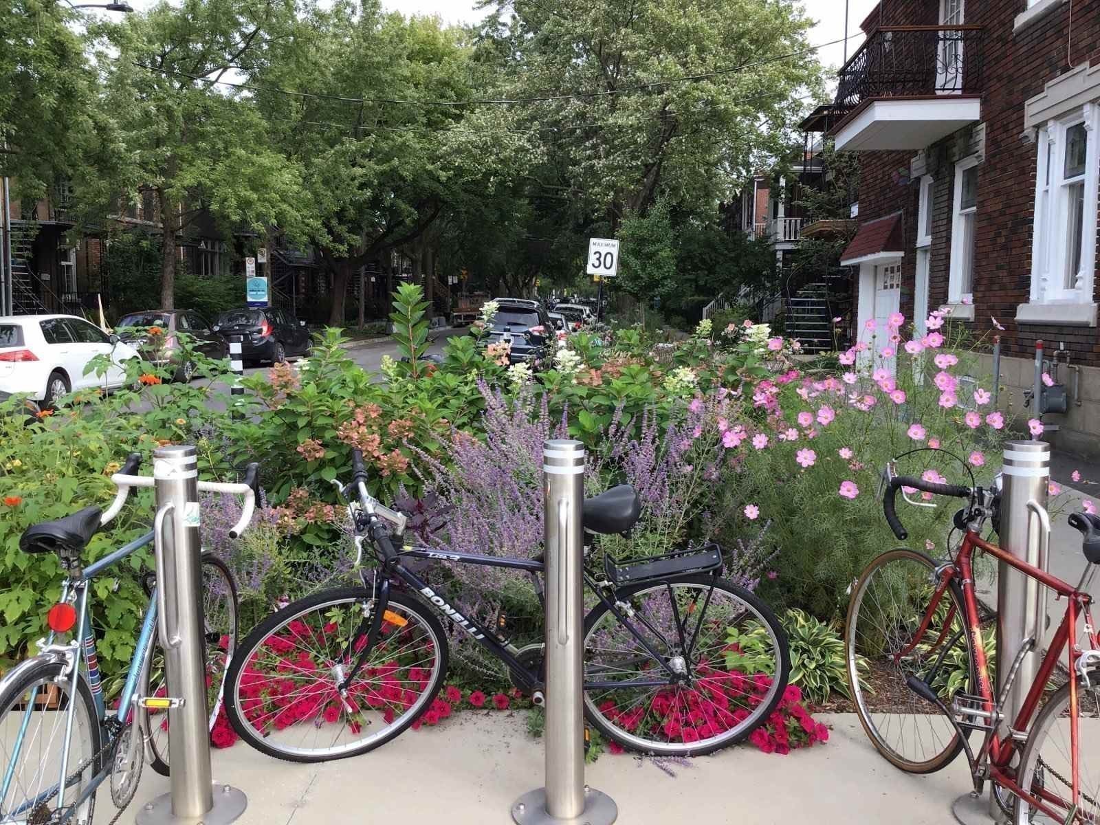 









6322


Av. des Érables

, 1,
Montréal (Rosemont/La Petite-Patrie),




QC
H2G2M8

