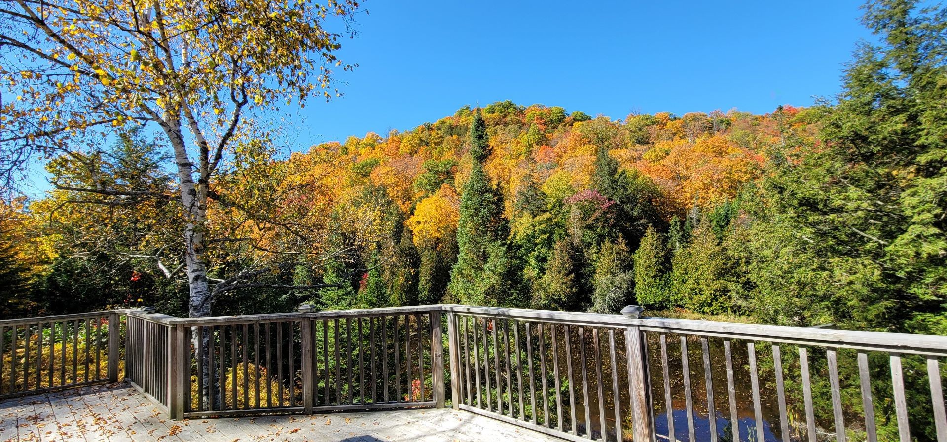 









273


Ch. de la Colonie

,
Val-des-Monts,




QC
J8N4A4

