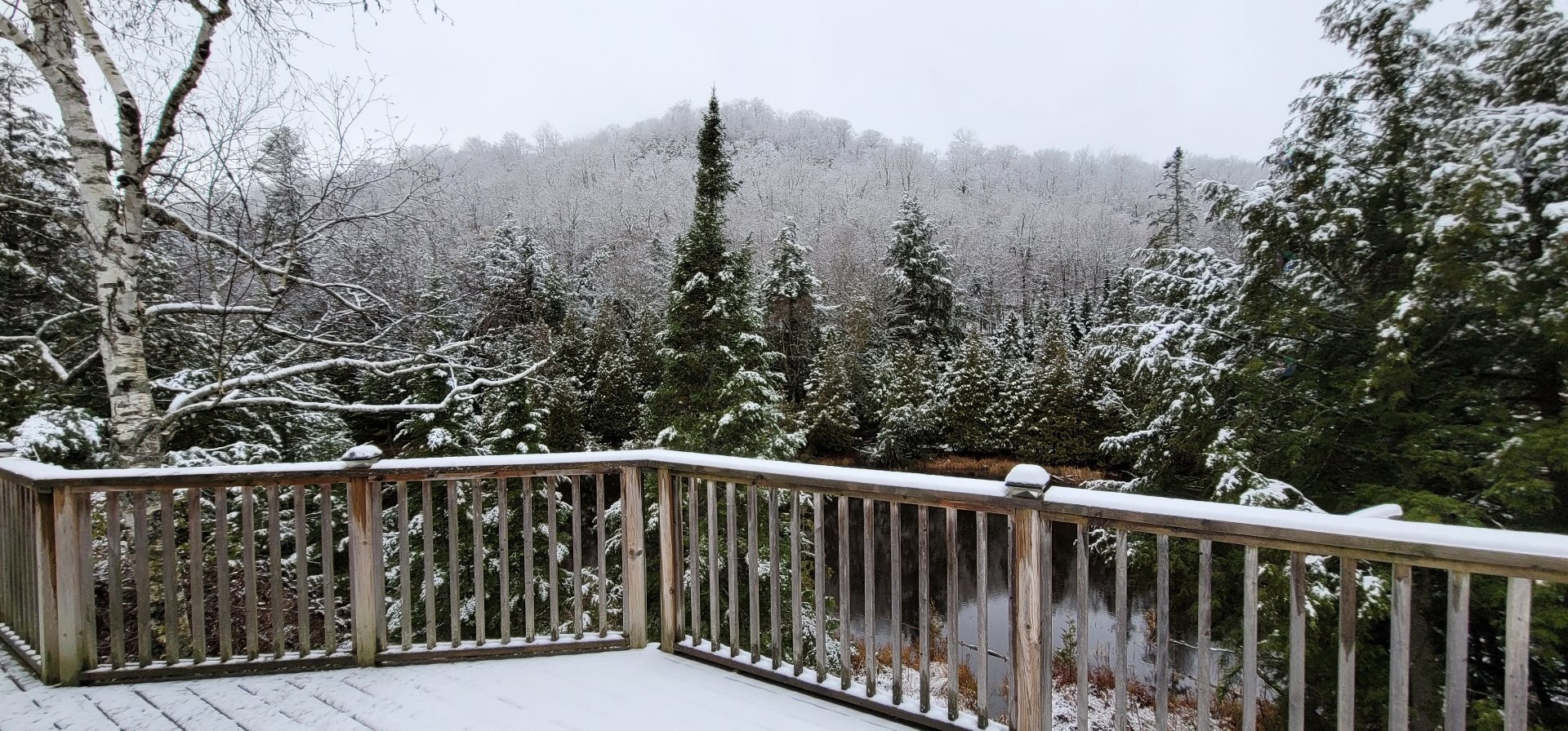 









273


Ch. de la Colonie

,
Val-des-Monts,




QC
J8N4A4

