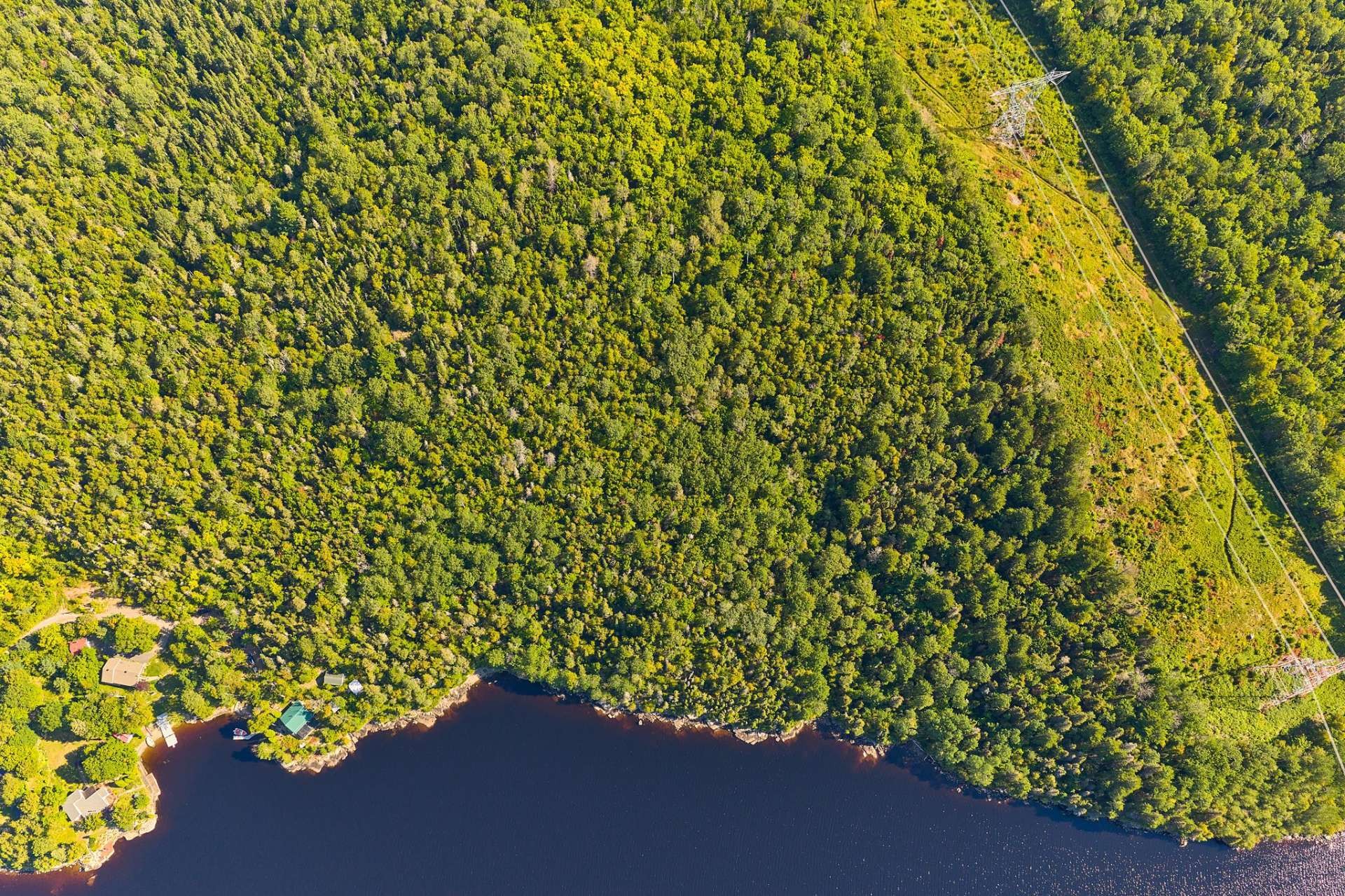 












Rue des Pinsons

,
Saguenay (Lac-Kénogami),







QC
G7X0P3

