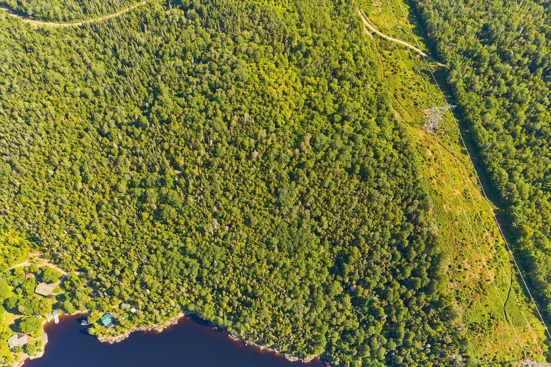 












Rue des Pinsons

,
Saguenay (Lac-Kénogami),







QC
G7X0P3

