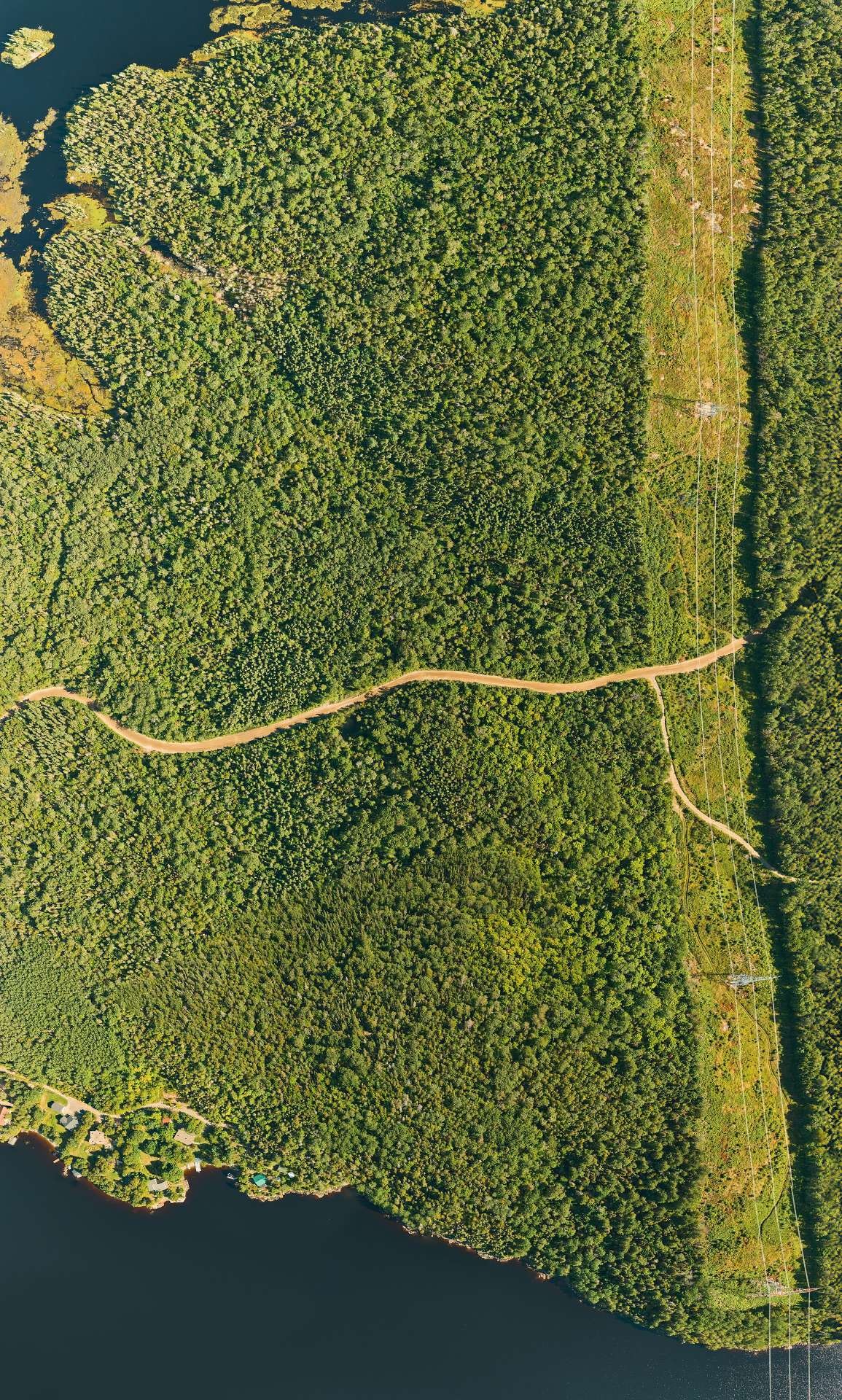 












Rue des Pinsons

,
Saguenay (Lac-Kénogami),







QC
G7X0P3

