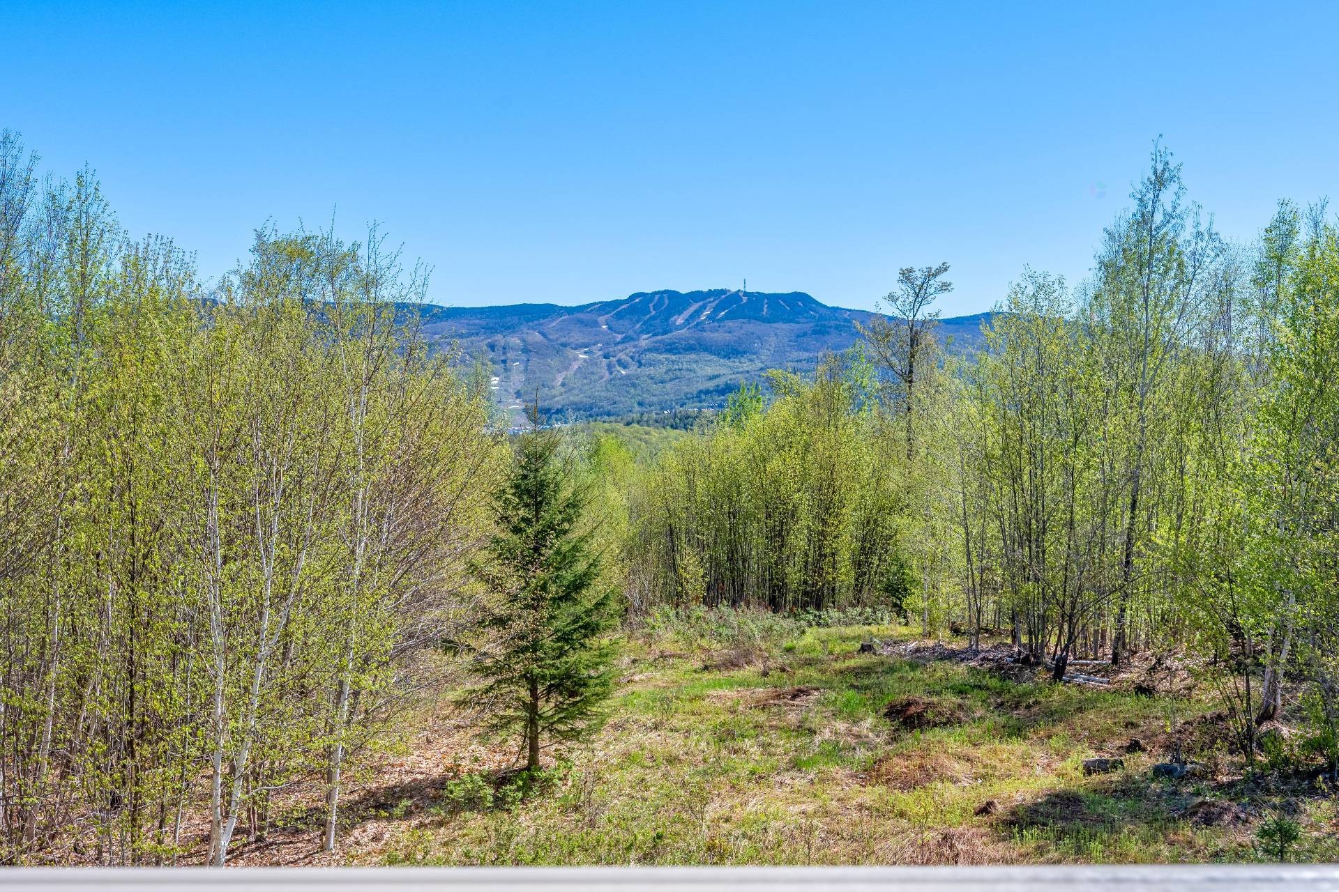 









225


Rue du Mont-Plaisant

, 4,
Mont-Tremblant,




QC
J8E1L2

