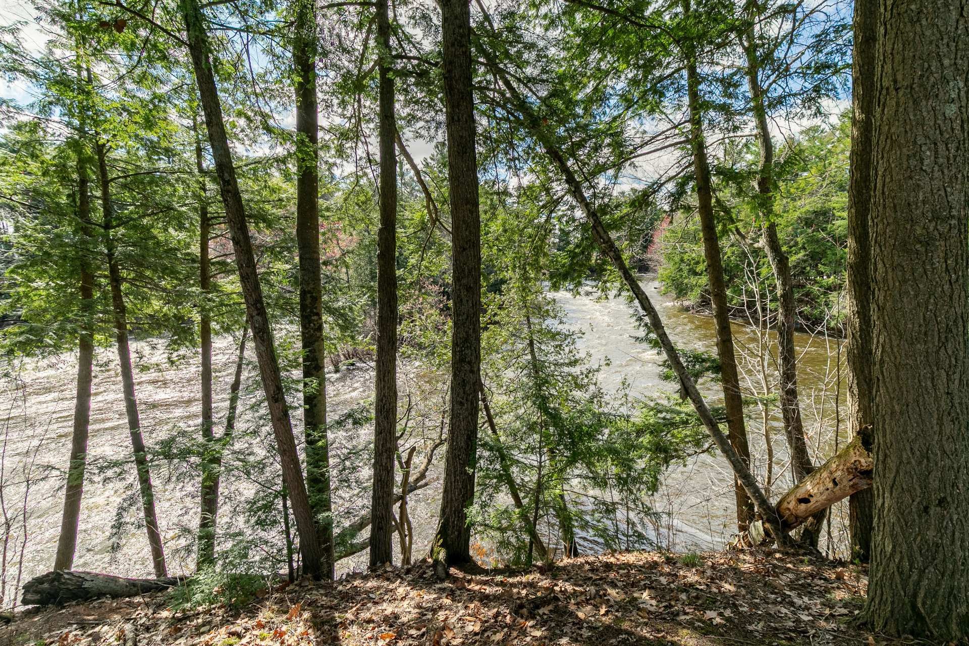 









276


Rue des Eaux-Vives

,
Saint-Jérôme,




QC
J7Y4N9

