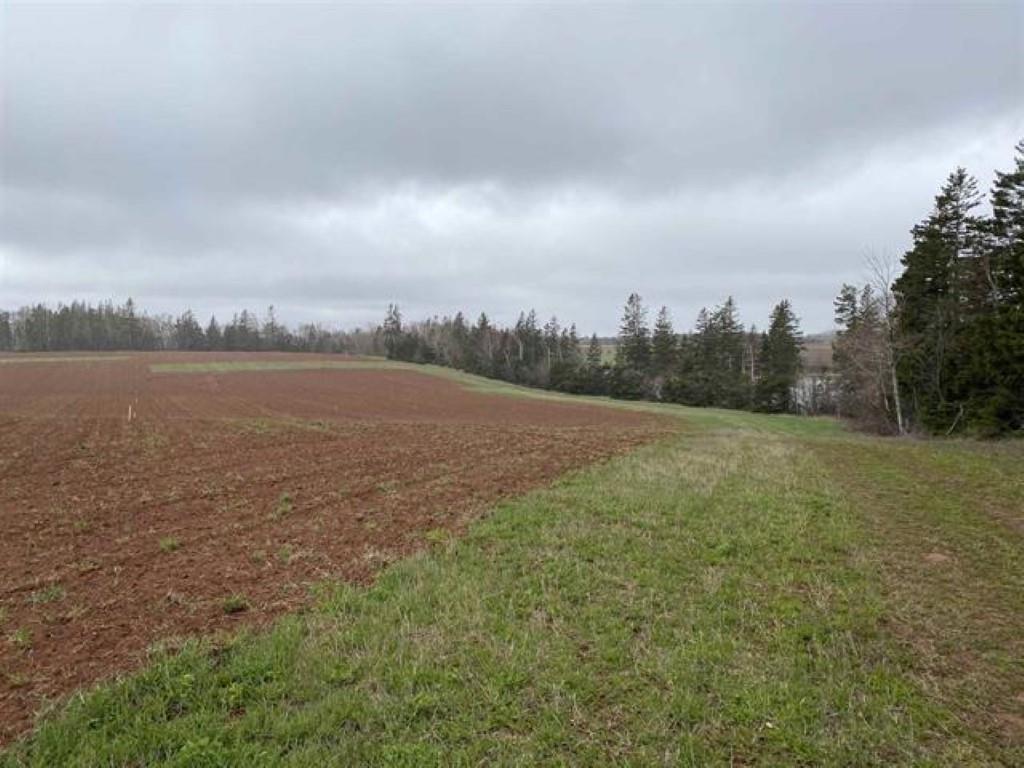 












Lot 21-4 Kildare Lane

,
Kildare,







PE
C0B 1B0

