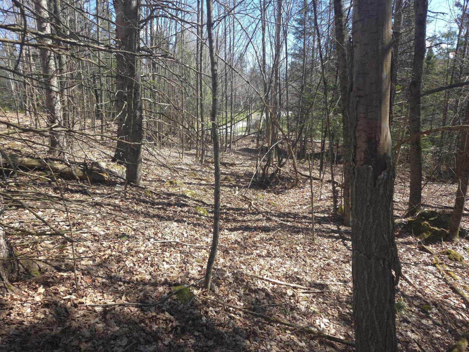









18


Ch. Stevenson

,
La Pêche,







QC
J0X3G0

