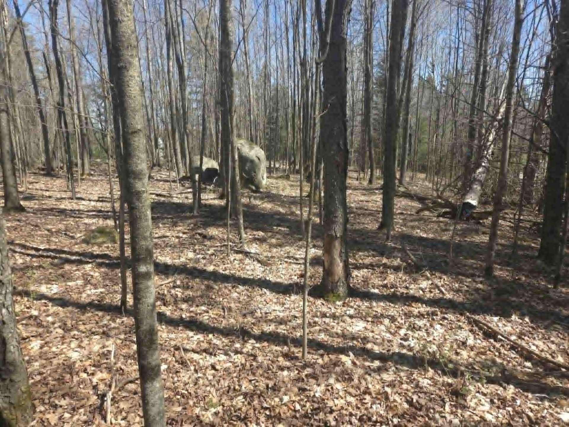 









18


Ch. Stevenson

,
La Pêche,







QC
J0X3G0

