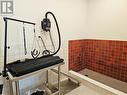 pet spa
