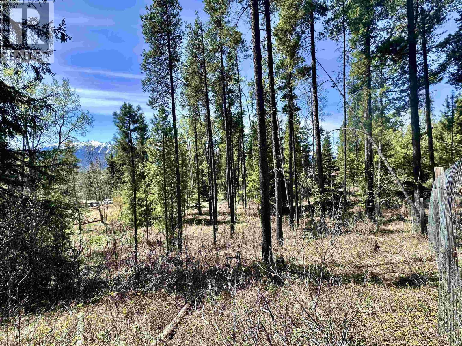 












1010 MAIN STREET

,
Valemount,




British Columbia
V0E2Z0

