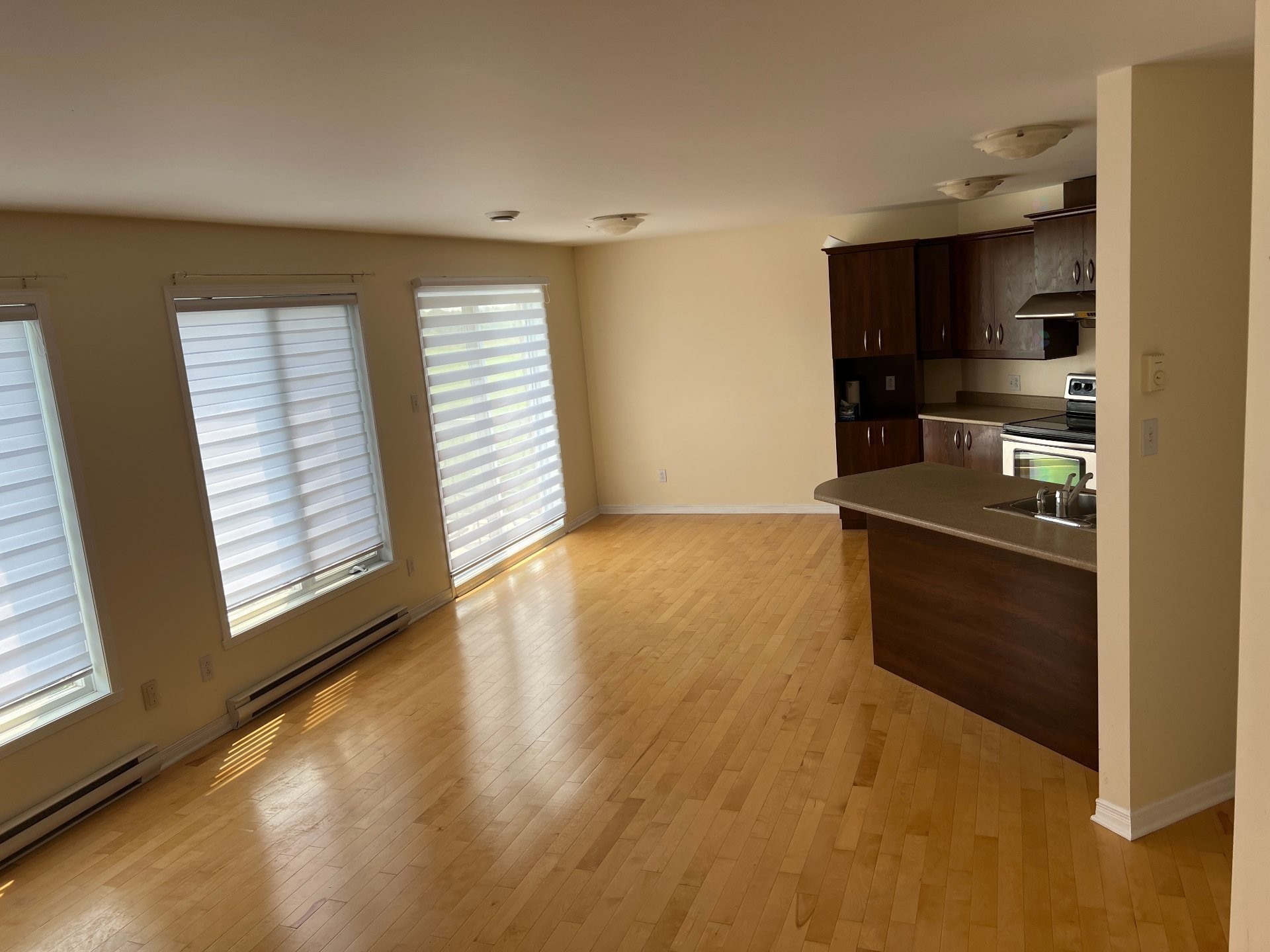 









7655


Rue Lautrec

, 5,
Brossard,




QC
J4Y3H5

